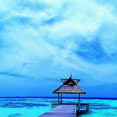 天博官网新版app下载安装教程